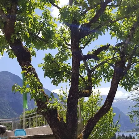 Tatil Evi Kopriwa