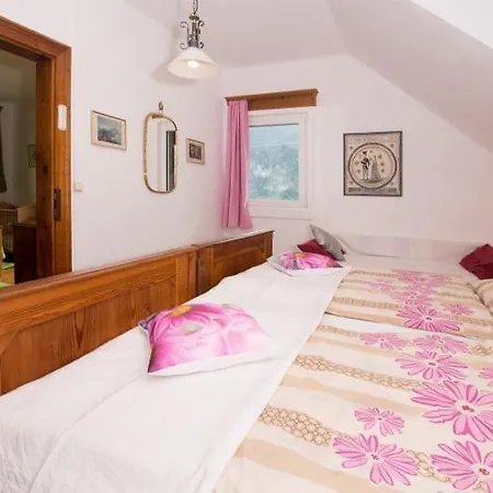 Kopriwa Tatil Evi *